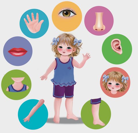 Parts of the Body — Curriculum illustration